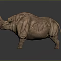 Realistic Brown Rhinoceros 3D Model With Textured Skin On Dark Background 3d model