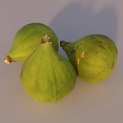 Three Fresh Green Figs With Stems Featuring Smooth Skin And Natural Texture 3d model Three Fresh Green Figs With Stems Featuring Smooth Skin And Natural Texture 3d model