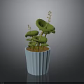 Green Potted Plant with Lily Pad Like Leaves in Light Blue Ribbed Pot