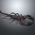 Detailed Scorpion With Large Claws Red Accents And Curved Tail On Gray Surface
