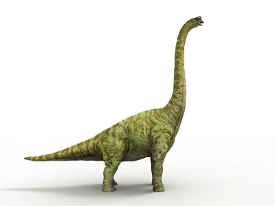 Large Green Dinosaur With Long Neck And Patterned Skin Standing On White Background 3d model