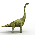 Large Green Dinosaur With Long Neck And Patterned Skin Standing On White Background