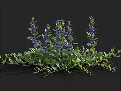 Decorative Bonsai Potted Plant With Purple Flowers Green Leaves And Vines 3d model
