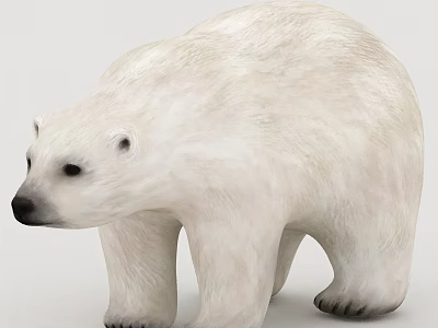 Realistic Polar Bear 3D Model With White Fur And Lifelike Features 3d model