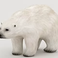Realistic Polar Bear 3D Model With White Fur And Lifelike Features