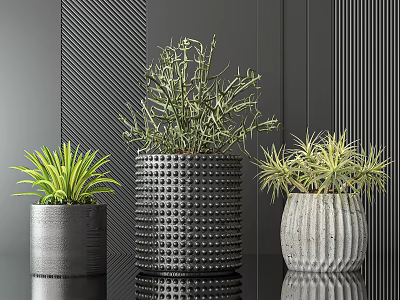 Decorative Potted Plants with Textured Planters and Various Green Foliage for Modern Indoor Decoration 3d model
