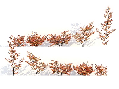 Autumn Shrubs Modern Shrubs 3d model