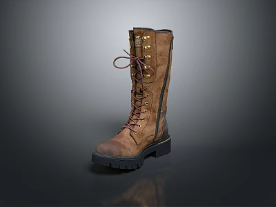 Brown Leather Lace Up Tall Boots With Metal Eyelets And Black Thick Sole 3d model