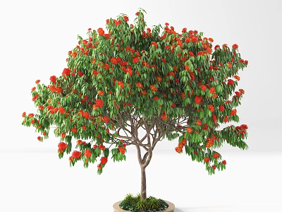 Beautiful Potted Tree With Lush Green Leaves And Vibrant Red Flowers 3d model