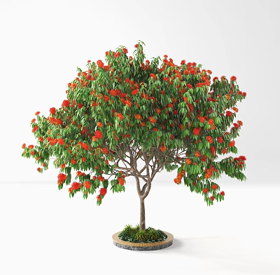 Beautiful Potted Tree With Lush Green Leaves And Vibrant Red Flowers 3d model