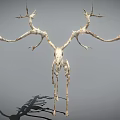 Deer Skeleton With Large Antlers And Detailed Skeletal Structure On Gray Background 3d model
