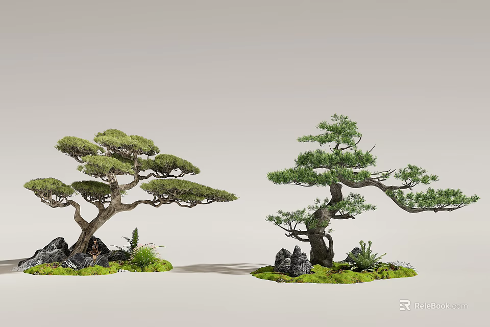 Serene Indoor Landscape With Bonsai Pine Trees Stones And Lush Moss 3d model 