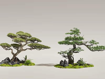 Serene Indoor Landscape With Bonsai Pine Trees Stones And Lush Moss 3d model