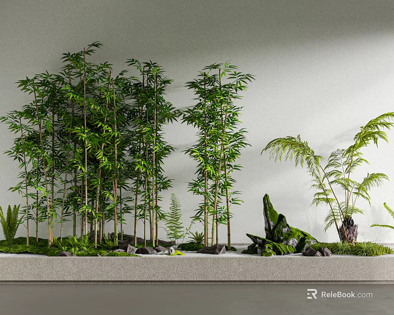 Tall Lush Bamboo Plants With Greenery Stones And White Wall In Decorative Scene 3d model 