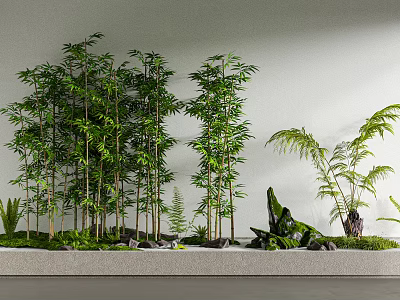Tall Lush Bamboo Plants With Greenery Stones And White Wall In Decorative Scene 3d model