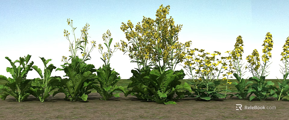 Lush Green Leafy Plants And Vibrant Yellow Flowers In Garden Landscape 3d model 