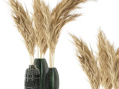 Modern Decorative Ornament Set With Dried Pampas Grass And Black Textured Vases 3d model