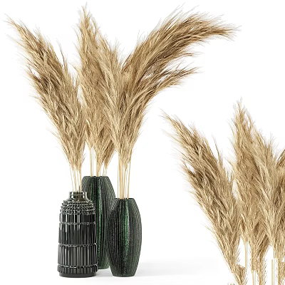Modern Decorative Ornament Set With Dried Pampas Grass And Black Textured Vases 3d model