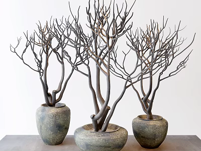 Three Piece Decorative Ornament Set With Ceramic Vases And Twig Branches 3d model