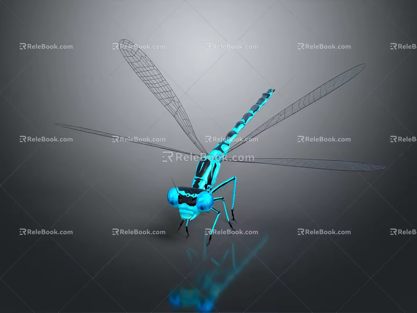 Modern Dragonfly Thin-winged Dragonfly Le Fairy Dragonfly Purple Red Dragonfly Black Lilly-winged Dragonfly Biwei Dragonfly 3d model