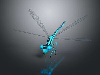 Detailed Blue 3D Dragonfly Model With Transparent Wings And Reflective Surface 3d model