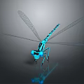 Modern Dragonfly Thin-winged Dragonfly Le Fairy Dragonfly Purple Red Dragonfly Black Lilly-winged Dragonfly Biwei Dragonfly 3d model
