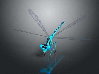 Modern Dragonfly Thin-winged Dragonfly Le Fairy Dragonfly Purple Red Dragonfly Black Lilly-winged Dragonfly Biwei Dragonfly 3d model