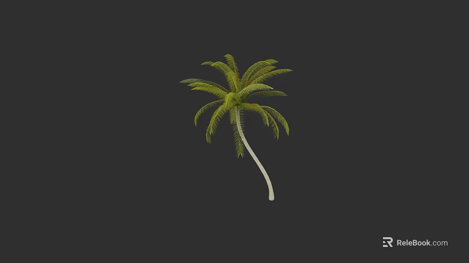 Tall Tropical Palm Tree With Green Fronds And White Trunk In Isolated Dark Background 3d model 
