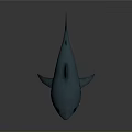 Detailed 3D Blue Shark Model With Open Mouth And Sharp Teeth On Gray Background