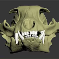 Detailed Animal Skull Structure With Light Yellow Color And Canine Teeth On Dark Background