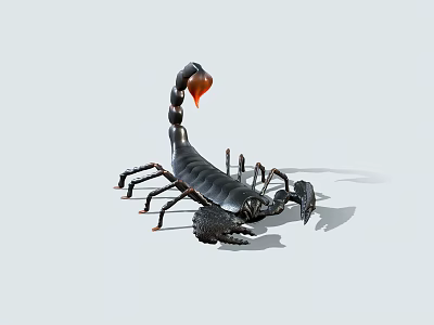 Realistic Reptile Scorpion With Black Body Orange Tail And Multiple Legs Isolated On Light Background 3d model