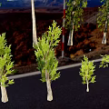 Pine Forest Plant Trees Pine Tree Flowers Forest Scene 3d model