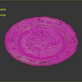 Elegant Decorative Ceramic Plate With Oval Shape Gold Rim And Colorful Floral Patterns