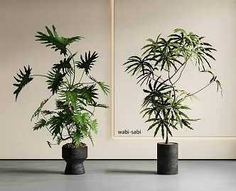 Spring Feather Potted Plant Green Plant Bonsai 3d model