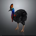 Exotic Cassowary Bird With Vibrant Head Blue Neck And Black Feathers