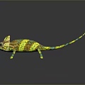 Colorful Chameleon Reptile With Yellow Green Brown Spotted Skin Long Tail On Dark Reflective Background