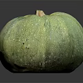 Organic Green Pumpkin Vegetable Fresh Ripe Single with Smooth Texture on Dark Background 3d model