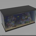 Colorful Aquarium Fish Tank with Vibrant Corals Sand Substrate and Tropical Fish