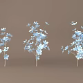 Three Bouquets of Light Blue Small Flowers with Slender Stems on Light Brown Background