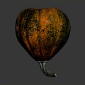 Vibrant Orange And Green Pumpkin With Curved Stem For Home Decoration