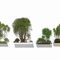 Modern Garden Plants Trees Shrubs Flower Pond Tree Pond Plants Plant Groups Small Landscape Combination 3d model