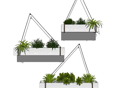 Stylish Hanging Planters With White Pots Black Ropes And Various Green Plants For Indoor Decor 3d model