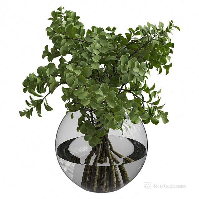 Clear Glass Vase With Fresh Green Foliage And Water For Home Decoration 3d model 