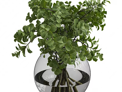 Clear Glass Vase With Fresh Green Foliage And Water For Home Decoration 3d model