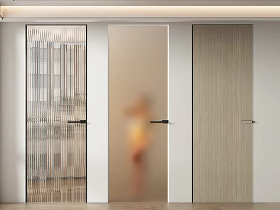 Modern Interior Hinged Doors with Glass Frosted and Wood Panel Designs 3d model