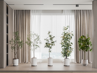 potted plant curtain model