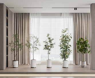 potted plant curtain 3d model