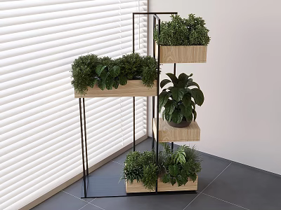 Bonsai Potted Plants on Multi Tier Wooden Metal Stand with Window Blinds Indoor 3d model