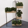 Bonsai Potted Plants on Multi Tier Wooden Metal Stand with Window Blinds Indoor