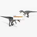 Two Gray Black Velociraptors With Sharp Teeth Walking On White Background 3d model